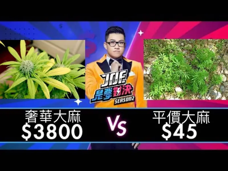 最危險的藥物是什麼？為何酒精是合法的，而大麻不是
